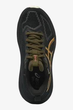 Asics Løypeskoer Gt-1000 14 GTX