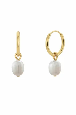 Edblad Øreringer Perla Hoops Gold