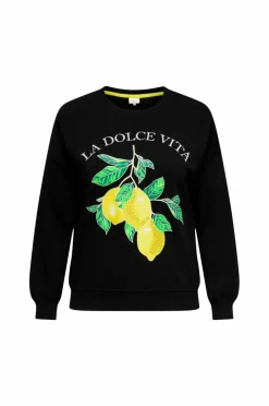 Only Carmakoma Collegegenser Carlacey Life L/s O-neck Sweat Jrs