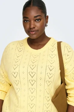 Only Carmakoma Pullover carIsa Life LS Structure Boxy O-nec