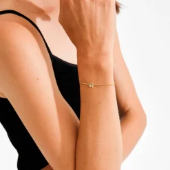 Pilgrim Armbånd Ajani Bracelet Gold-plated