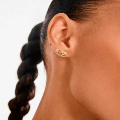 Pilgrim Øredobber Nova Earrings 2-in-1 Set Gold-plated