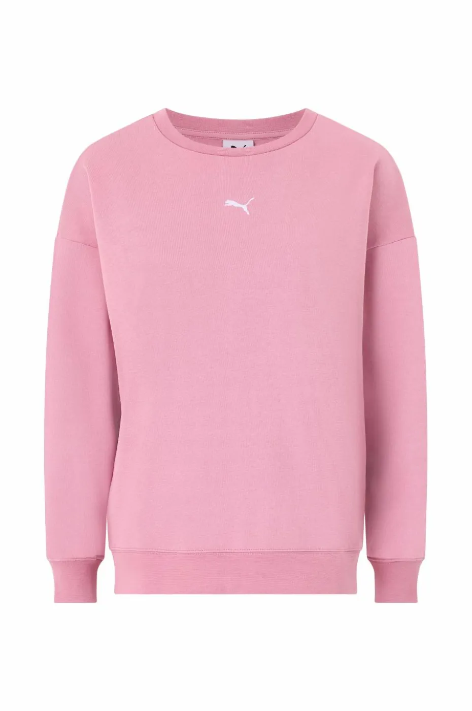 Puma Collegegenser Ess Oversized Crew FL