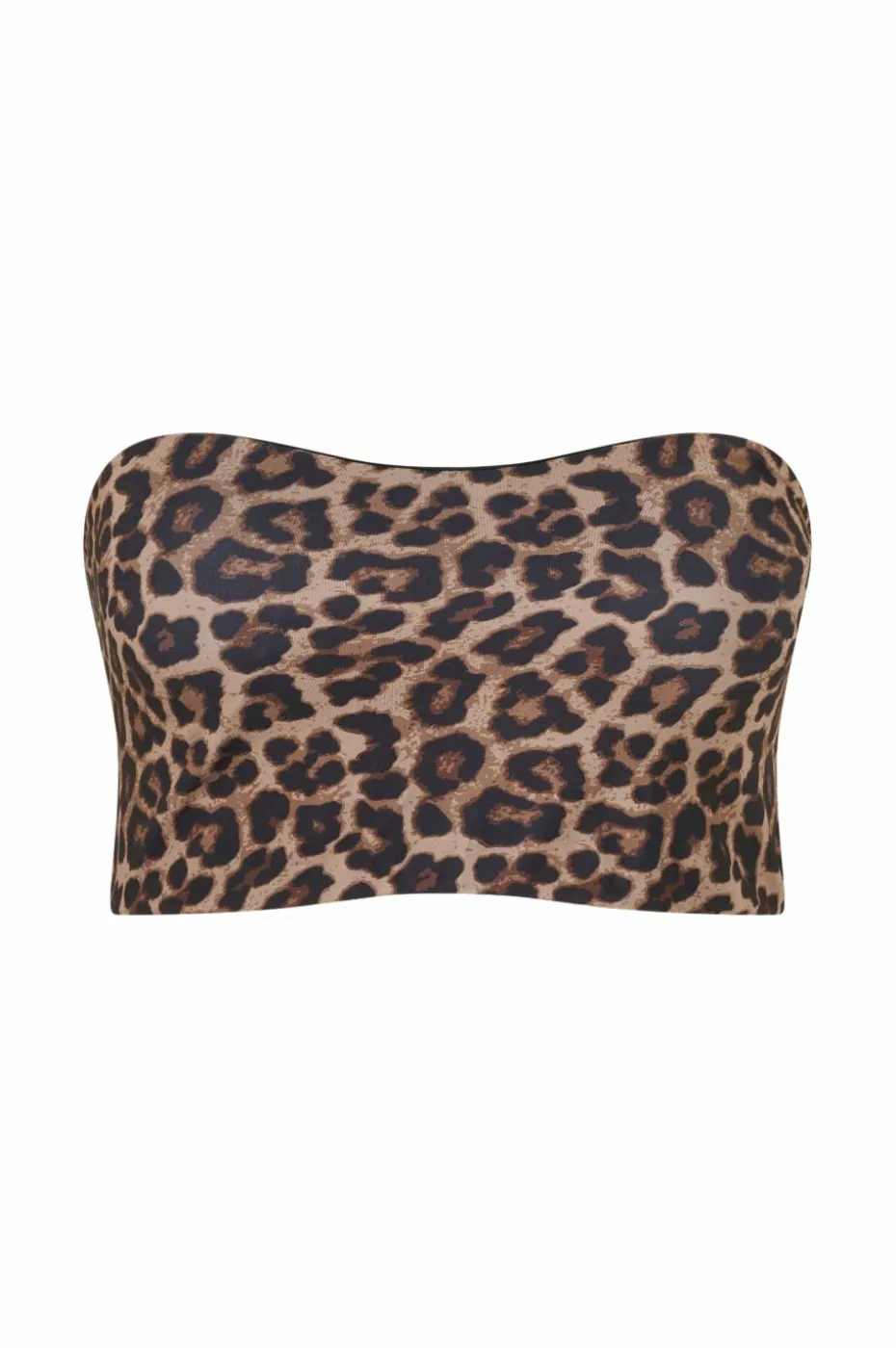 Zizzi Bikini BH caAnne Bandeau