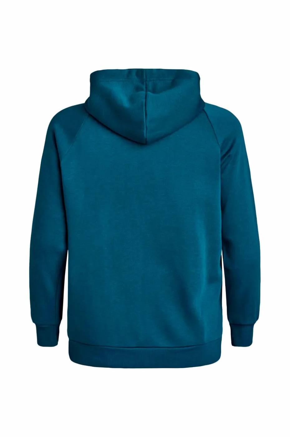 Zizzi Hettegenser Annie L/S Hoodie Sweat